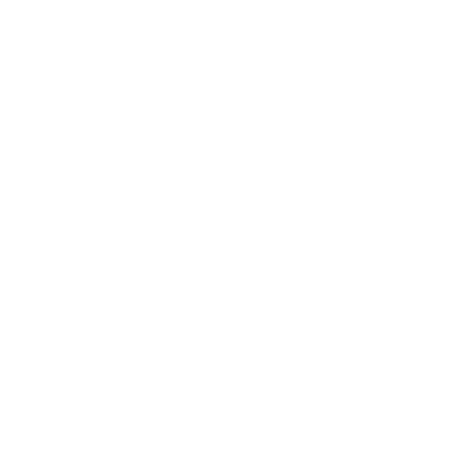 成山（shān）輪胎-中國製造